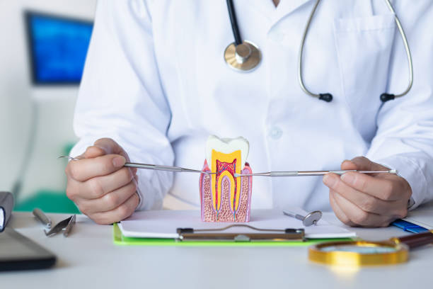Best Emergency Root Canal Therapy in Palouse, WA